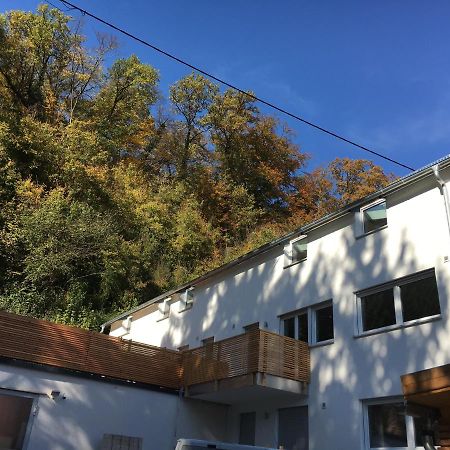 Ferienwohnungen Lamisto Am Waldesrand Neckartenzlingen Extérieur photo