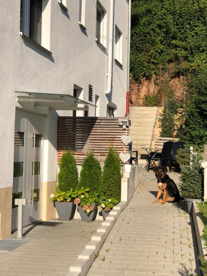 Ferienwohnungen Lamisto Am Waldesrand Neckartenzlingen Extérieur photo